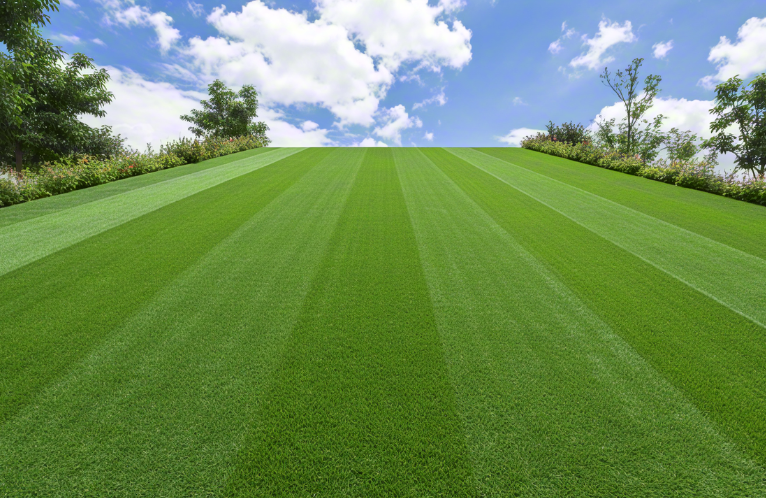 1744788707348716.png 人工草坪