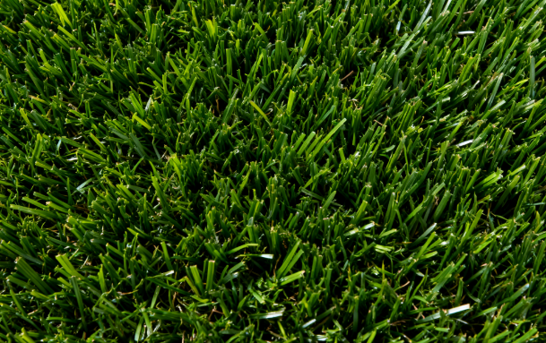 人工草坪
