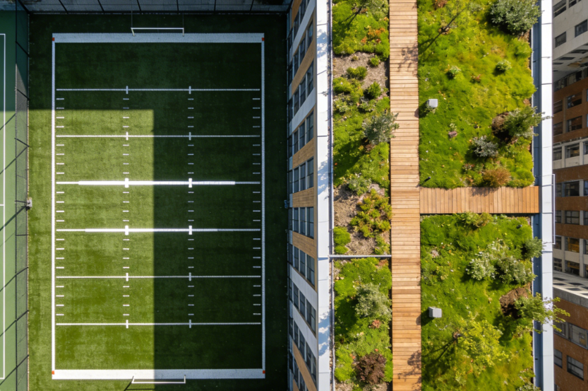 1769236009114040.png 橄欖球場仿真草坪